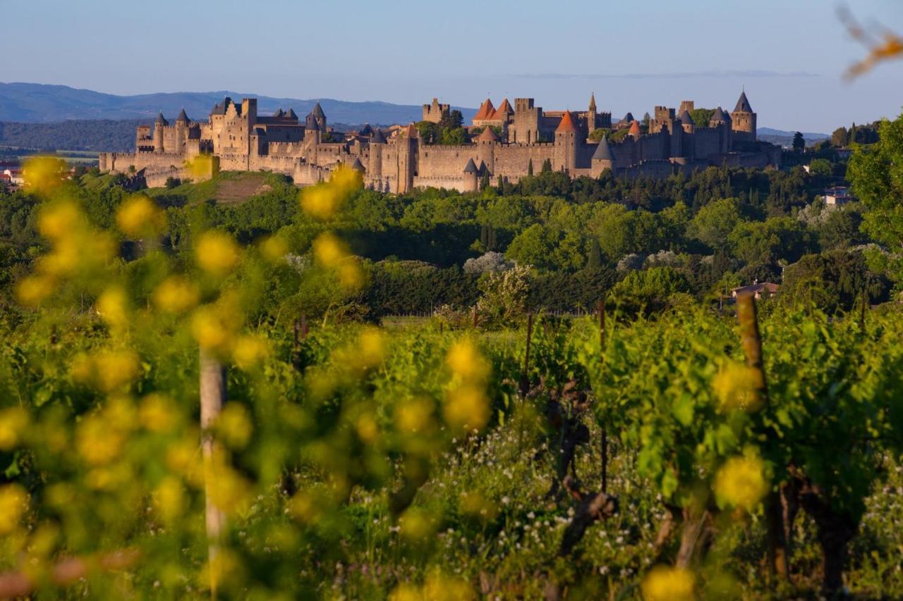 Tout Confort ! Calme, Climatisation, Vue Degagee, Ville ,Parking Gratuit, Ascenseur, Wifi Carcassonne Eksteriør bilde