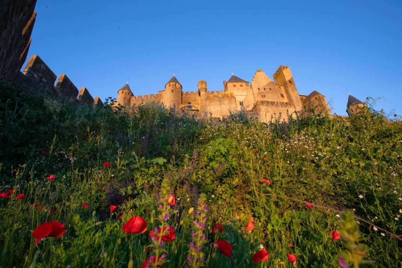 Tout Confort ! Calme, Climatisation, Vue Degagee, Ville ,Parking Gratuit, Ascenseur, Wifi Carcassonne Eksteriør bilde
